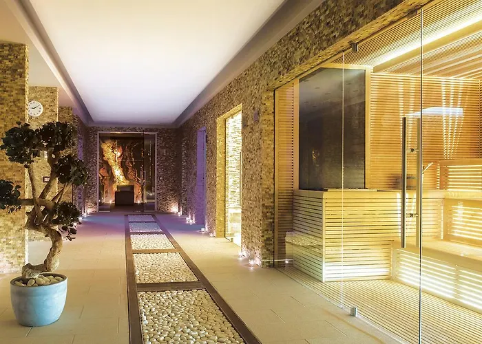 Premier Palace فندق